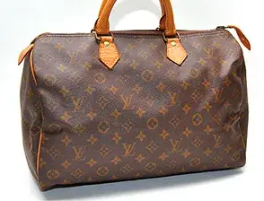 Louis Vuitton Speedy